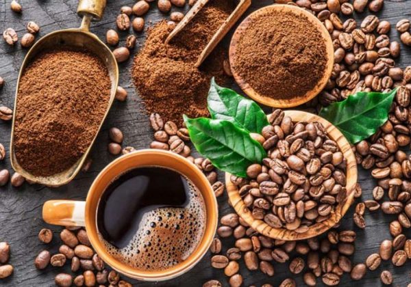 Coffee Brands by Mikelli